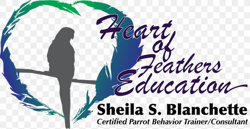 Bird Beak Education Behavior Feather, PNG, 1000x518px, Bird, Area, Beak, Behavior, Brand Download Free