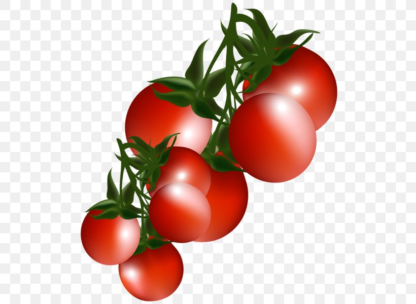 Cherry Tomato Vegetable Fruit Clip Art, PNG, 520x600px, Cherry Tomato, Bell Pepper, Bush Tomato, Capsicum, Cherry Download Free