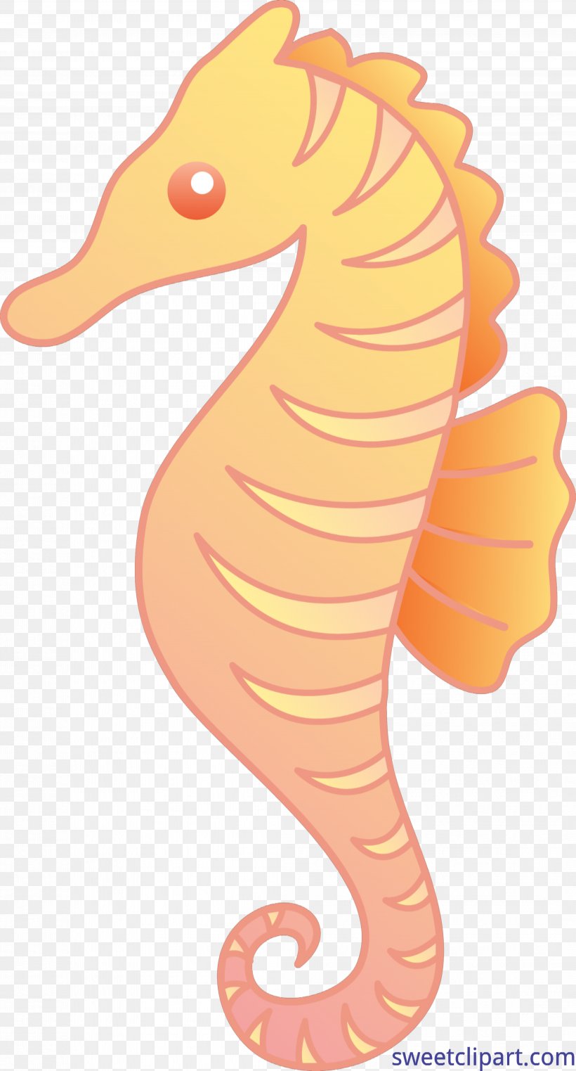 Mister Seahorse Clip Art Openclipart Vector Graphics, PNG, 4177x7763px, Seahorse, Animal, Aquatic Animal, Fish, Mister Seahorse Download Free