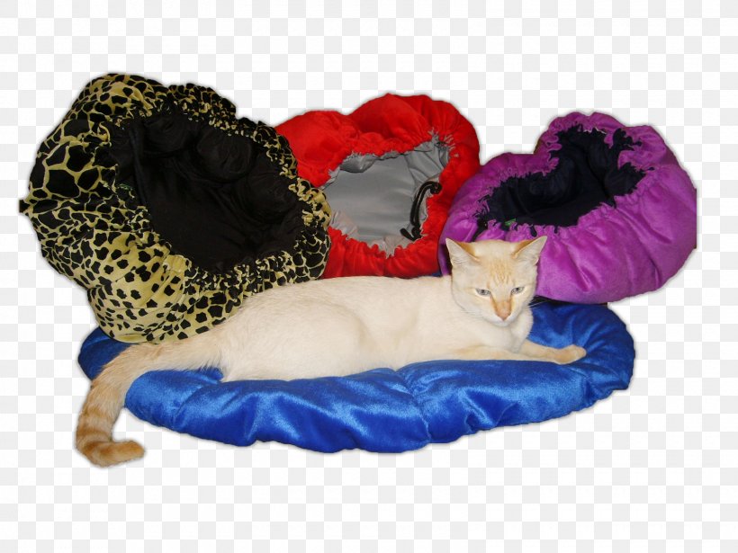Cat Dog Clothes Stuffed Animals & Cuddly Toys Plush, PNG, 1600x1200px, Cat, Bed, Clothing, Dog, Dog Bed Download Free