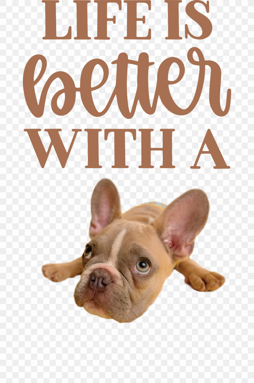 Life Better, PNG, 1991x3000px, Life, Better, Breed, Bulldog, Dog Download Free