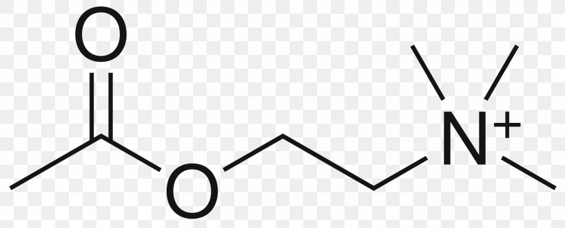 Methyl Group Ester Methyl Butyrate Nucleophilic Acyl Substitution, PNG, 1920x779px, Methyl Group, Acyl Group, Area, Benzyl Group, Black Download Free