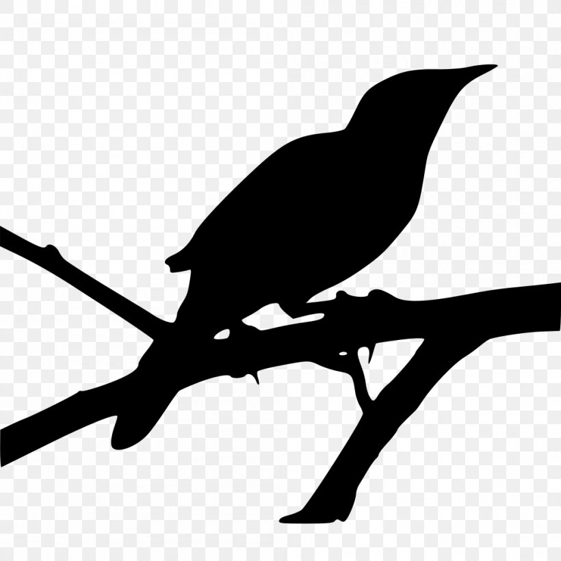 Mockingbird Clip Art Image Openclipart JPEG, PNG, 1000x1000px, Mockingbird, Beak, Bird, Blackbird, Branch Download Free