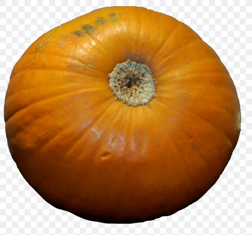 Pumpkin Calabaza Winter Squash Gourd, PNG, 2678x2497px, Pumpkin, Calabaza, Cucumber Gourd And Melon Family, Cucurbita, Gourd Download Free