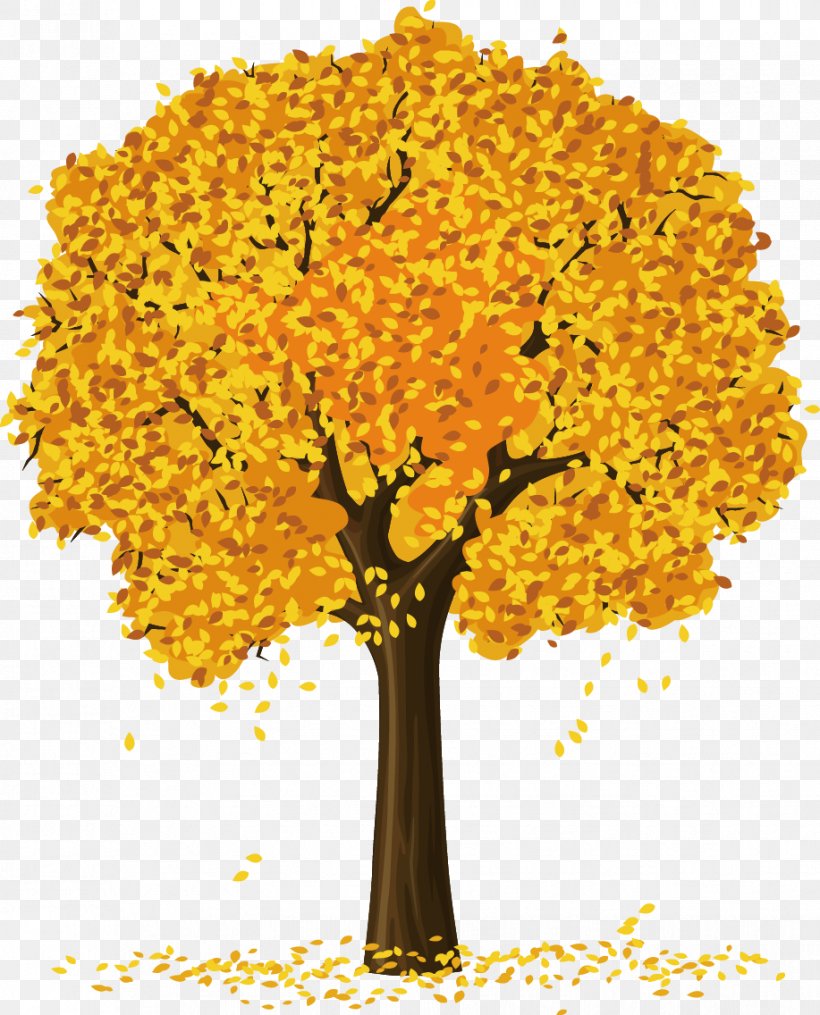 Tree Clip Art, PNG, 917x1136px, Tree, Autumn, Branch, Floral Design, Flower Download Free