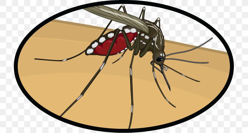 Mosquito Insect Clip Art Zika Virus Zika Fever, PNG, 729x439px, Mosquito, Arthropod, Butterfly, February, House Fly Download Free