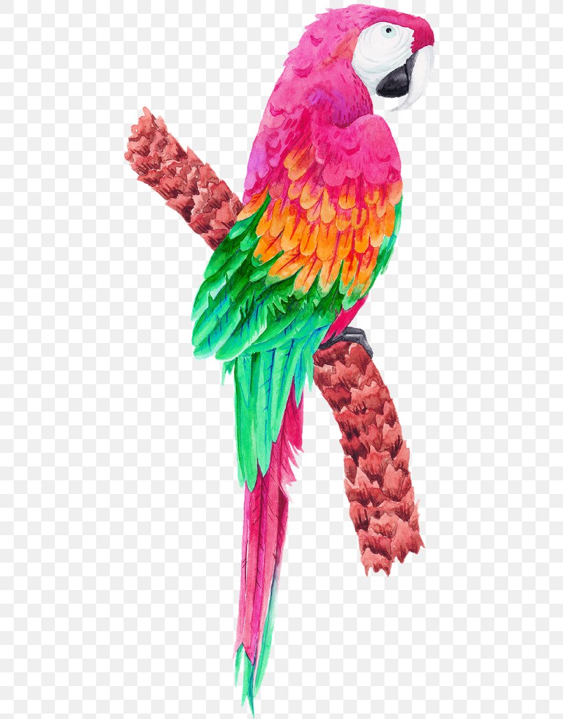 Parrot Bird Macaw Parakeet Clip Art, PNG, 459x1048px, Parrot, Amazon Parrot, Bird, Bird Supply, Bird Toy Download Free