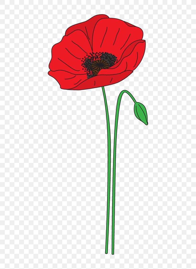 Remembrance Poppy Anzac Day Flower Clip Art, PNG, 539x1123px, Poppy, Anzac Day, Armistice Day, Common Poppy, Coquelicot Download Free