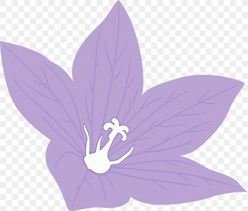 Lavender, PNG, 3000x2547px, Balloon Flower, Flora, Flower, Lavender, Paint Download Free