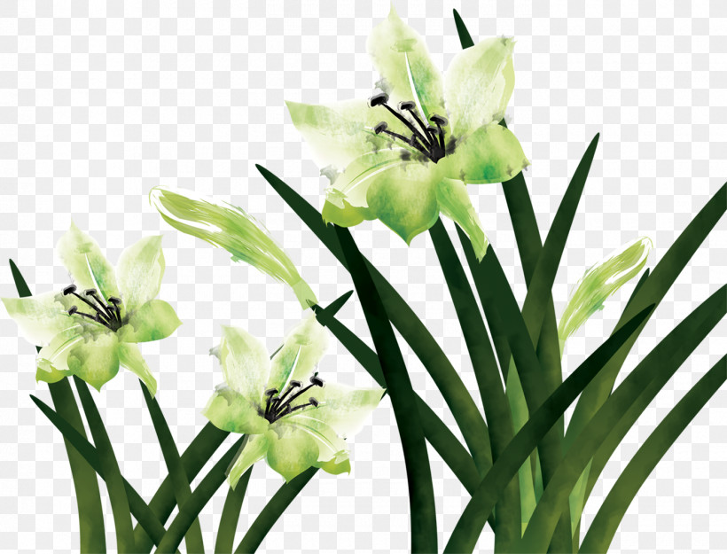 Lily Flower Floral, PNG, 1400x1068px, Lily Flower, Biology, Cut Flowers, Floral, Flower Download Free