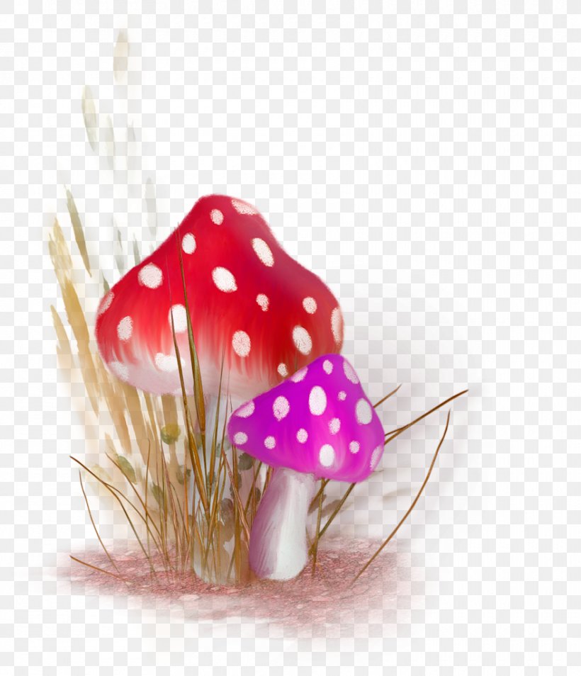 Red Cartoon Mushroom Grass Decoration Pattern, PNG, 880x1024px, Mushroom, Chart, Computer Software, Elf, Fairy Download Free