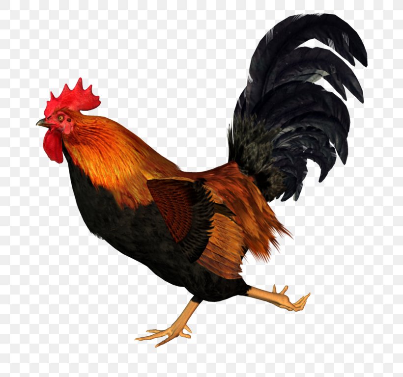 Rooster 0 1 Clip Art, PNG, 753x768px, 2016, 2017, Rooster, Beak, Bird Download Free
