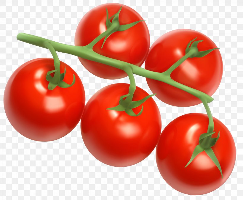 Cherry Tomato Vegetable Clip Art, PNG, 4497x3696px, Cherry Tomato, Acerola Family, Blog, Bush Tomato, Cherry Download Free