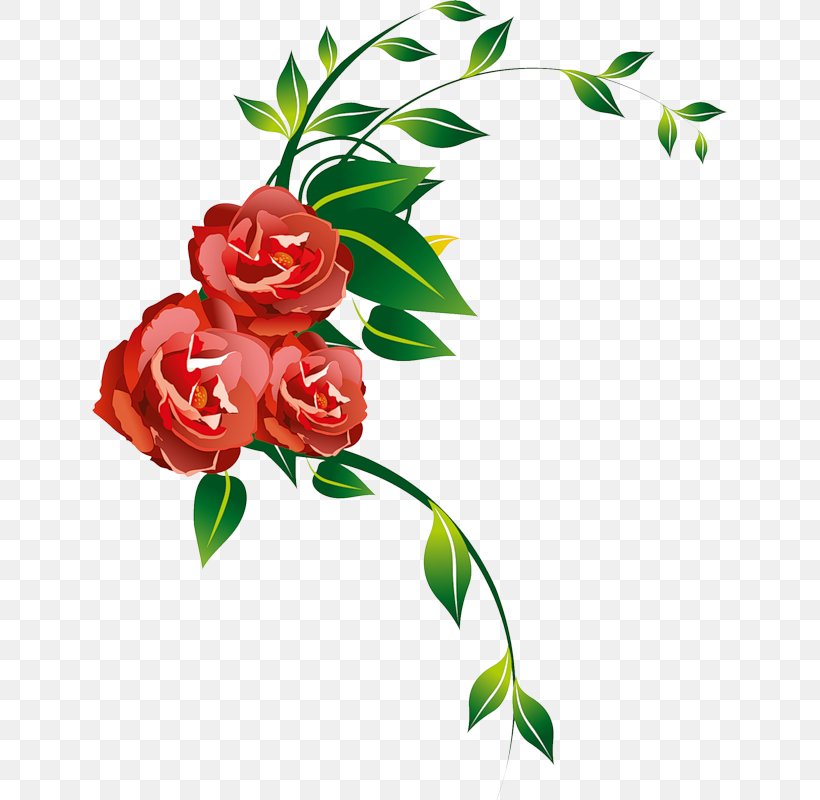 Garden Roses Flower Floral Design Clip Art, PNG, 636x800px, Garden Roses, Artwork, Branch, Cut Flowers, Flora Download Free