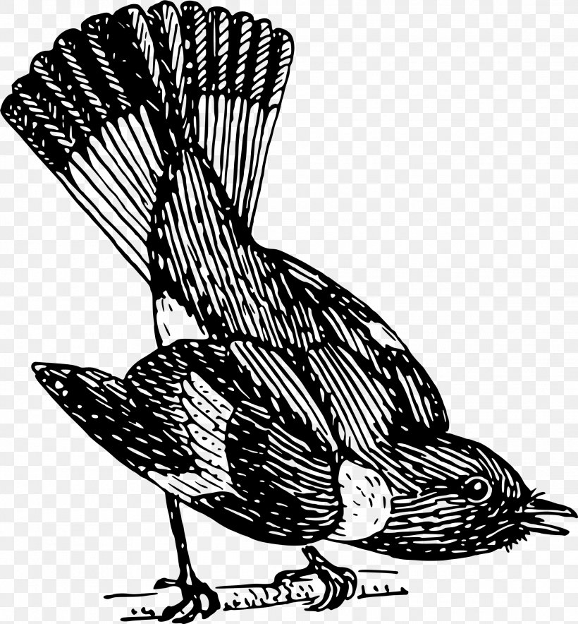 Bird Common Redstart Animal, PNG, 2225x2400px, Bird, Animal, Art, Beak, Black And White Download Free