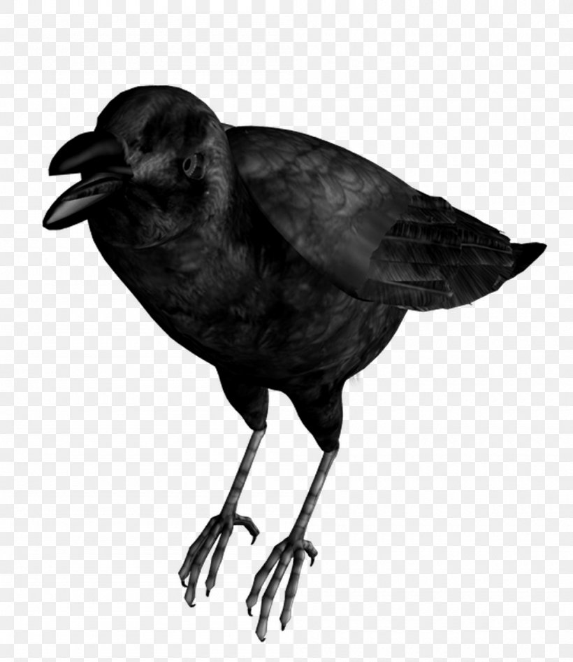 Common Raven Bird Eating Crow, PNG, 1000x1154px, Common Raven, American Crow, Beak, Bird, Black And White Download Free