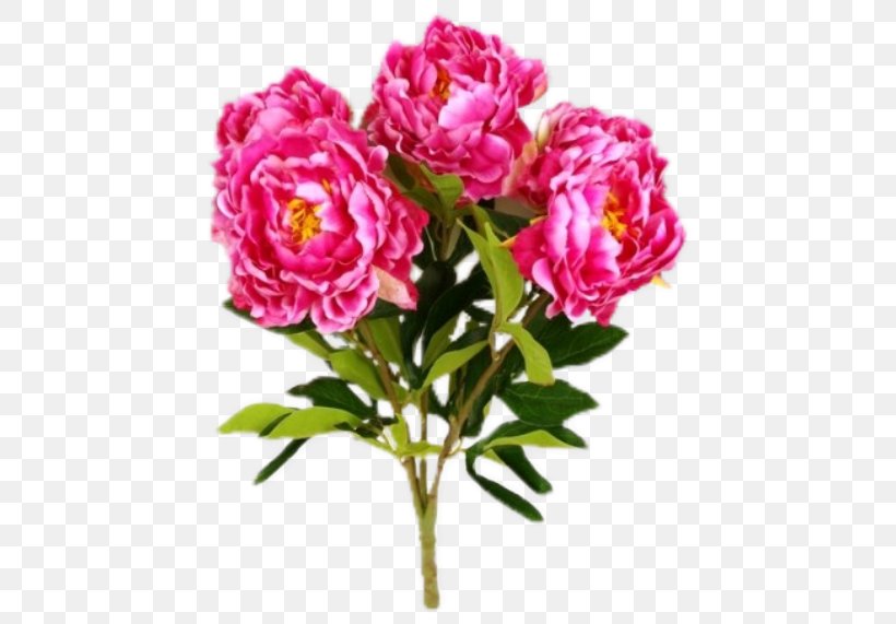 Garden Roses Cabbage Rose Cut Flowers Floribunda, PNG, 462x571px, Garden Roses, Annual Plant, Artificial Flower, Blume, Cabbage Rose Download Free