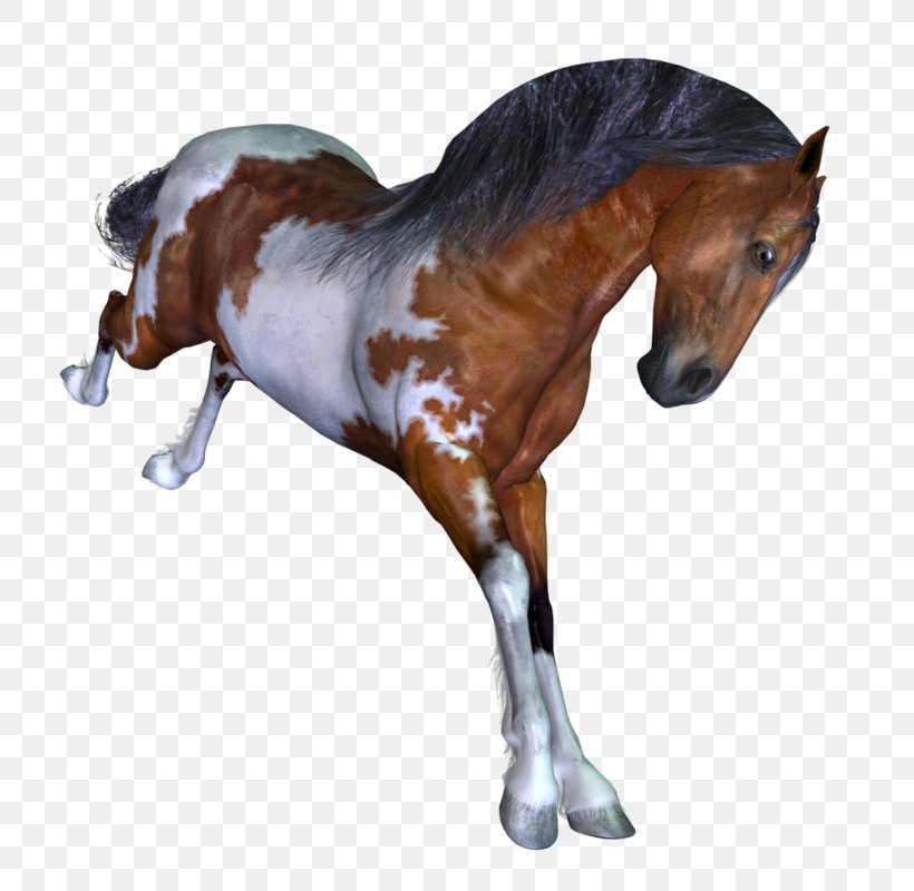 Unicorn, PNG, 800x800px, Mustang, Animal, Animal Figure, Arabian Horse, Colt Download Free