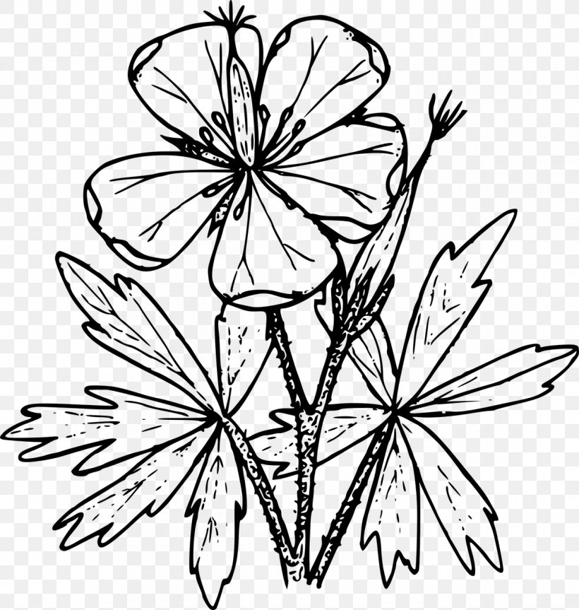 Coloring Book Drawing Geranium Viscosissimum Clip Art, PNG, 1215x1280px, Coloring Book, Artwork, Black And White, Branch, Color Download Free