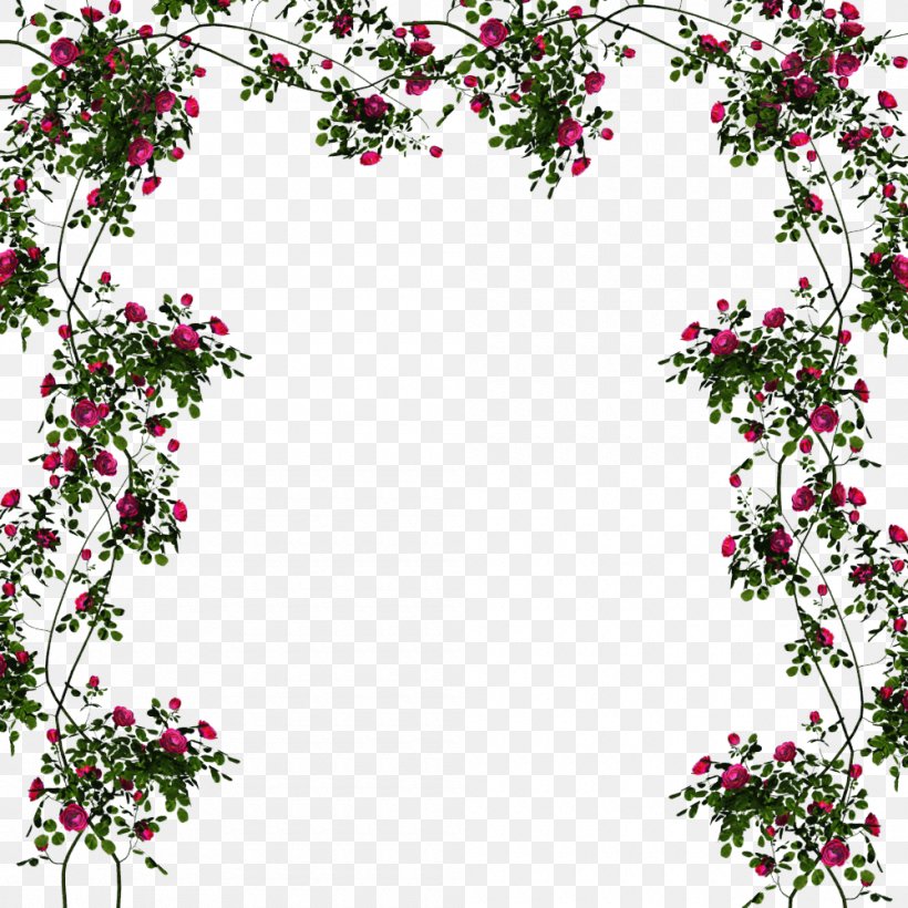 Cut Flowers Floral Design Floristry Petal, PNG, 1000x1000px, Flower, Blossom, Branch, Cut Flowers, Flora Download Free