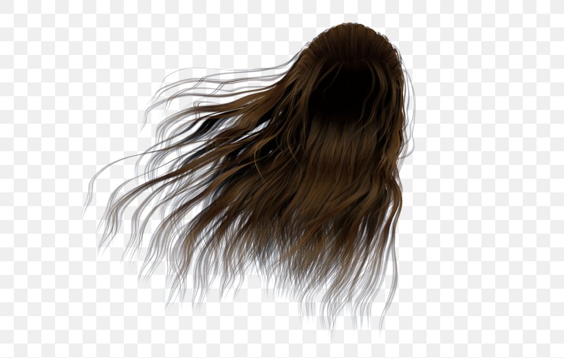 Long hair png images  PNGEgg