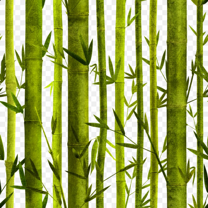 Bamboo Bambusa Oldhamii Poster Graphic Design, PNG, 1024x1024px, Bamboo, Advertising, Bambusa Oldhamii, Branch, Chopsticks Download Free