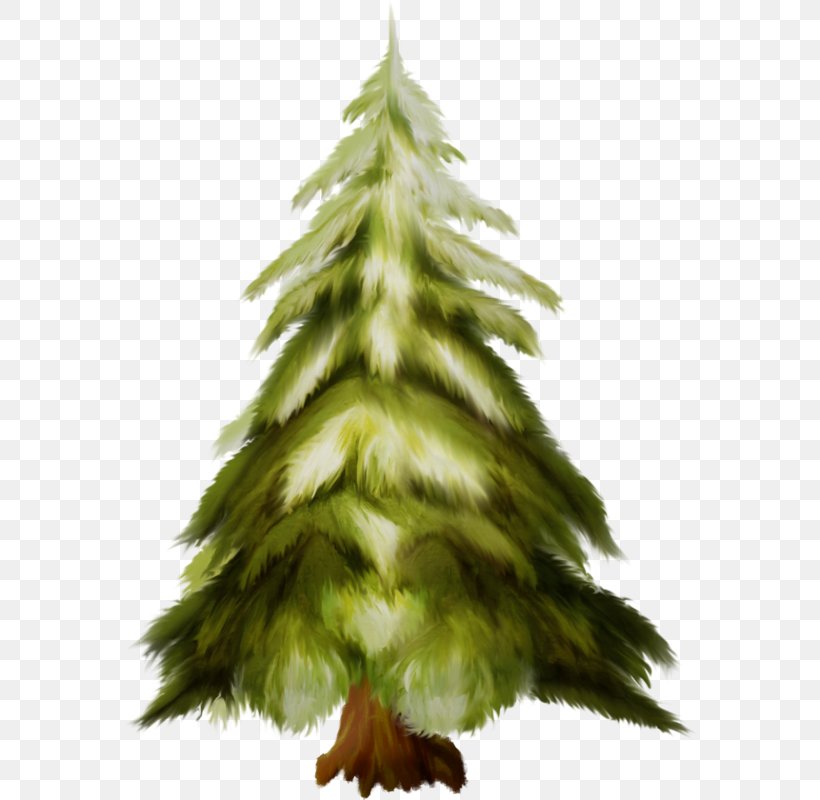Christmas Tree Christmas Ornament Fir Spruce Pine, PNG, 572x800px, Christmas Tree, Branch, Christmas, Christmas Decoration, Christmas Ornament Download Free