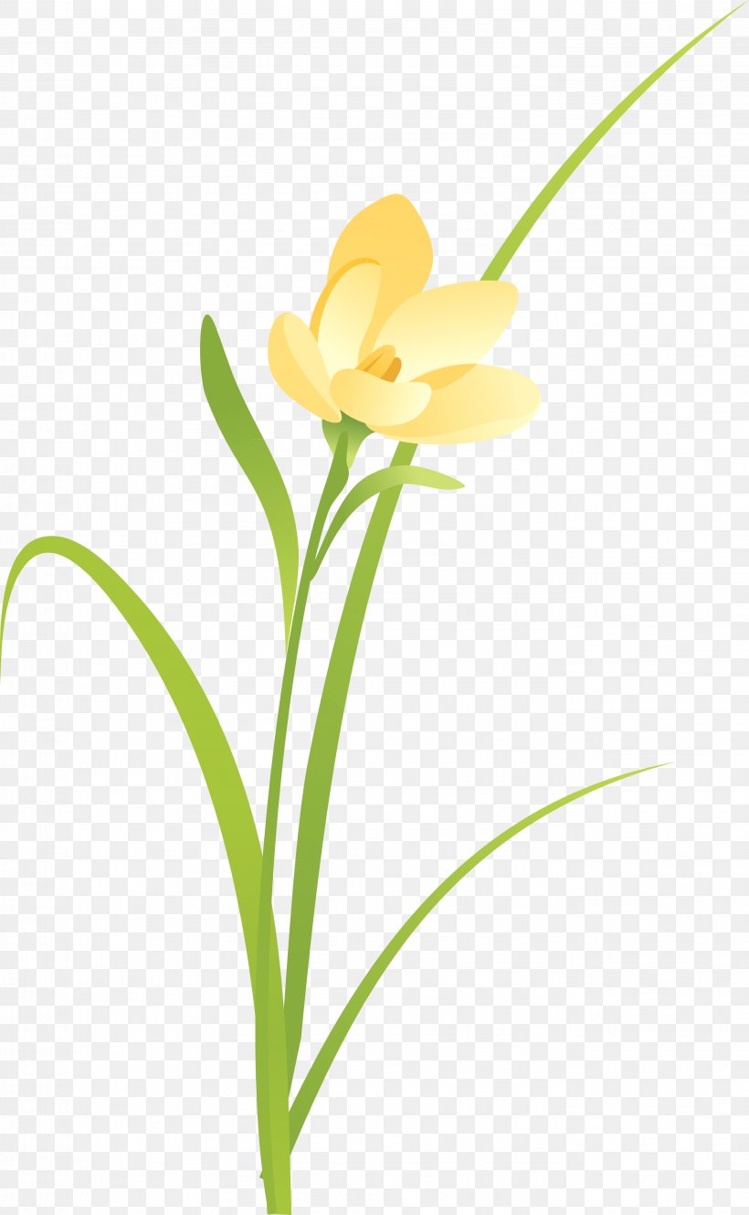 Cut Flowers Plant Stem Line Clip Art, PNG, 2754x4464px, Cut Flowers, Flora, Flower, Flowering Plant, Petal Download Free