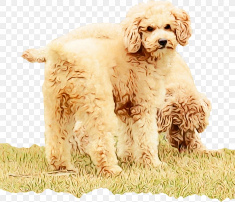 Gun Cartoon, PNG, 931x800px, American Cocker Spaniel, Breed, Clumber Spaniel, Cockapoo, Cocker Spaniel Download Free