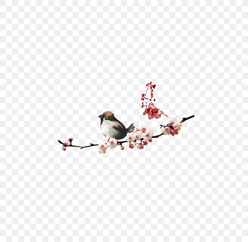 New Years Day Lunar New Year Typography, PNG, 800x800px, New Years Day, Art, Beak, Bird, Branch Download Free