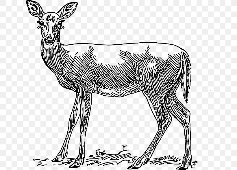 Red Deer Clip Art, PNG, 640x590px, Deer, Animal, Animal Figure, Antelope, Antler Download Free