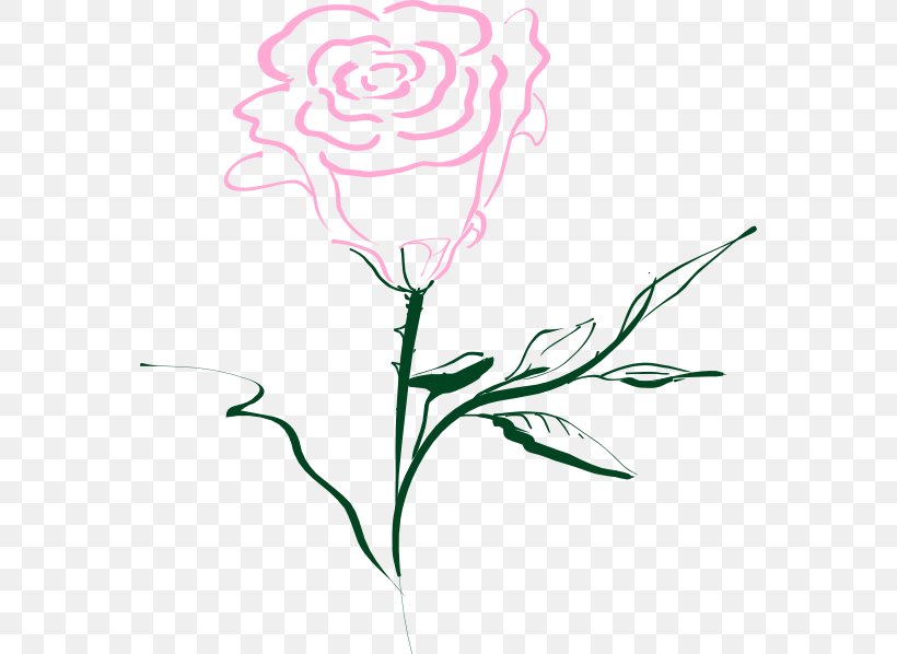 Rose Drawing Clip Art, PNG, 564x598px, Rose, Artwork, Black Rose, Branch, Color Download Free