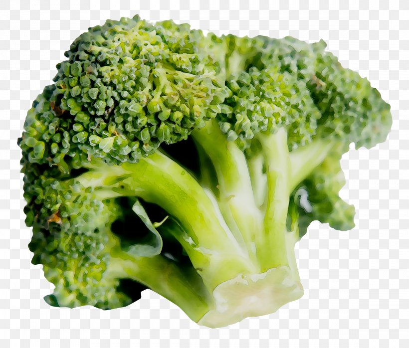 Sprouting Broccoli Vegetable Vegetarian Cuisine Image, PNG, 2337x1991px, Broccoli, Broccoflower, Cabbage, Cauliflower, Collard Greens Download Free