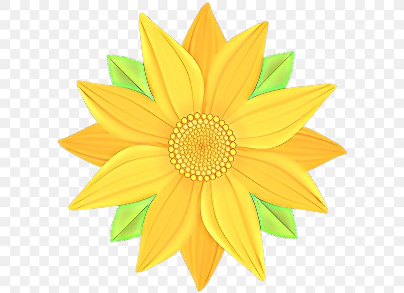 Sunflower, PNG, 600x595px, Cartoon, Daisy Family, Flower, Gazania, Petal Download Free