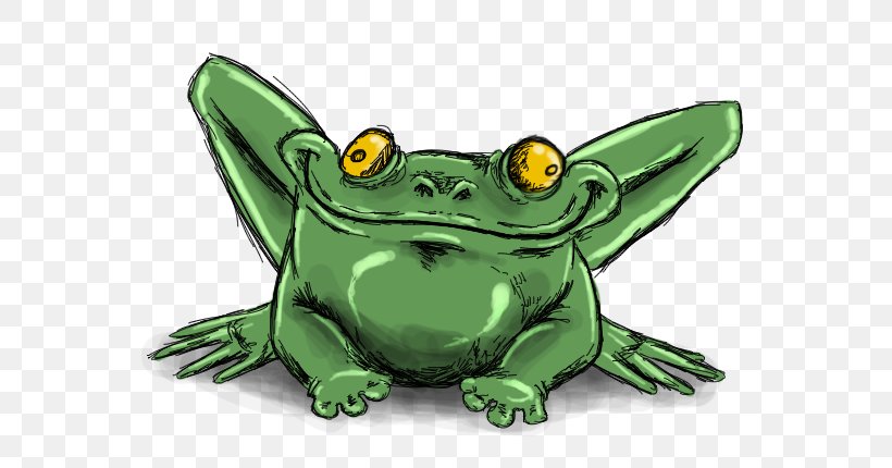 Toad True Frog Tree Frog Drawing, PNG, 622x430px, Toad, Amphibian, Cartoon, Deviantart, Drawing Download Free