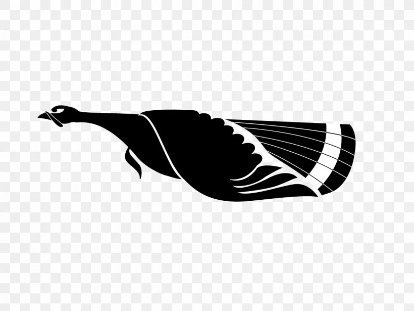 Beak Black Water Bird Silhouette, PNG, 1200x900px, Beak, Bird, Black, Black And White, Black M Download Free
