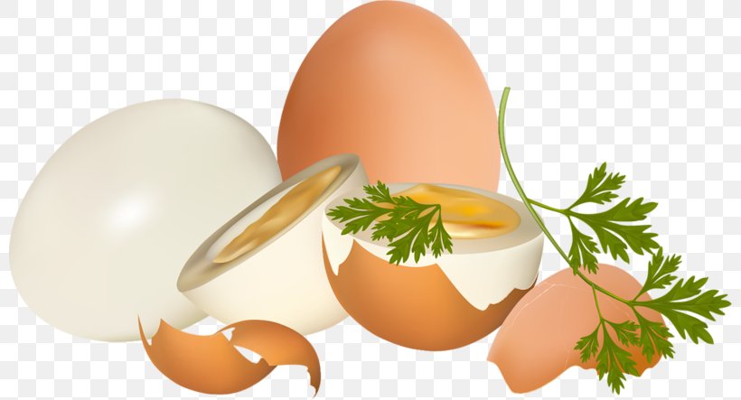 Eggshell Chicken Egg, PNG, 800x443px, Egg, Boiled Egg, Chicken, Chicken Egg, Cooking Download Free