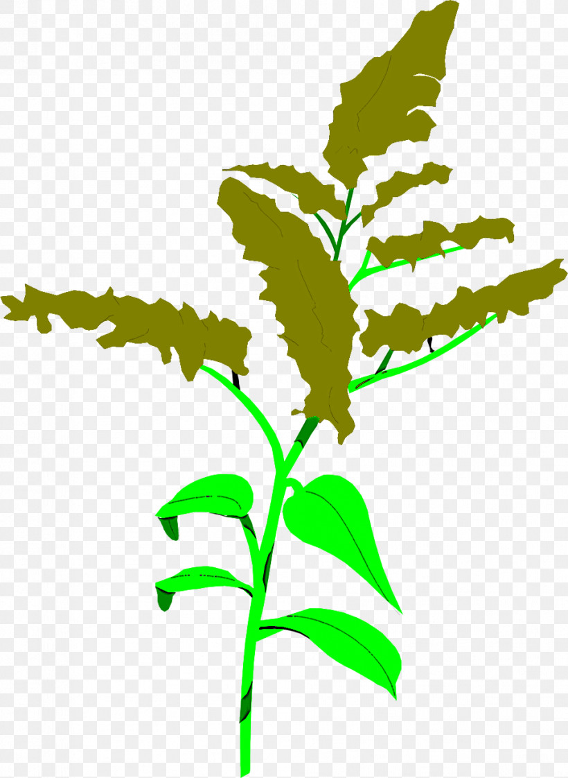 Leaf Flower Plant Plant Stem Goldenrod, PNG, 958x1311px, Leaf, Flower, Goldenrod, Plant, Plant Stem Download Free