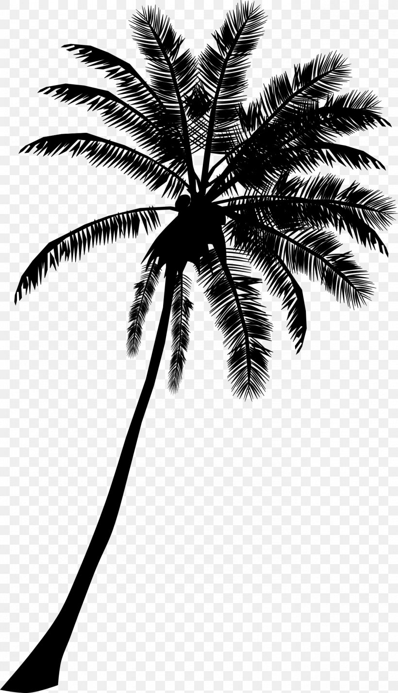 Arecaceae Tree Cdr Silhouette Clip Art, PNG, 1381x2400px, Arecaceae, Arecales, Black And White, Borassus Flabellifer, Branch Download Free