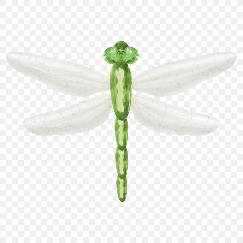 Dragonfly Insect Euclidean Vector, PNG, 1024x1024px, Dragonfly, Designer, Dragonflies And Damseflies, Drawing, Gratis Download Free