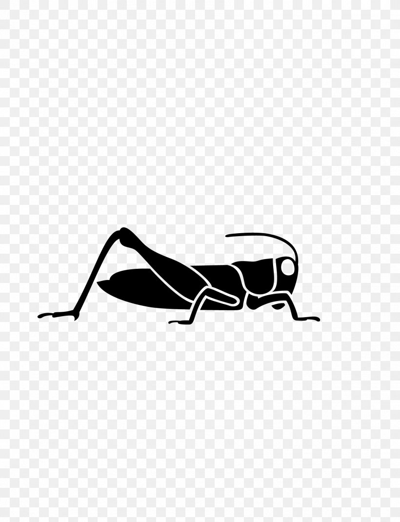 Grasshopper Caelifera Paper Sticker, PNG, 1775x2317px, Insect, Black, Black And White, Bumper Sticker, Bush Crickets Download Free