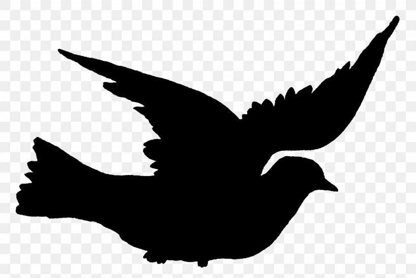 Beak Bird Fauna Font Silhouette, PNG, 1600x1071px, Beak, Bird, Blackandwhite, Fauna, Logo Download Free