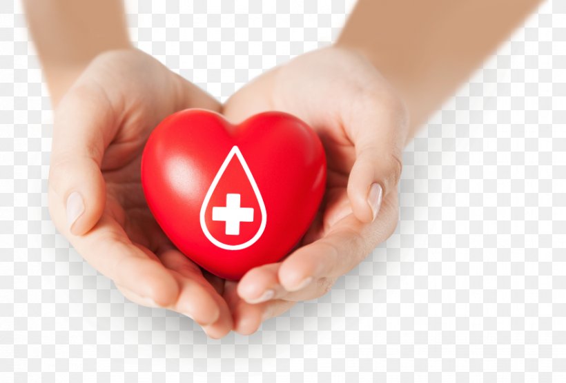 Blood Donation Stock Photography World Blood Donor Day, PNG, 876x594px, Blood Donation, Blood, Donation, Finger, Hand Download Free