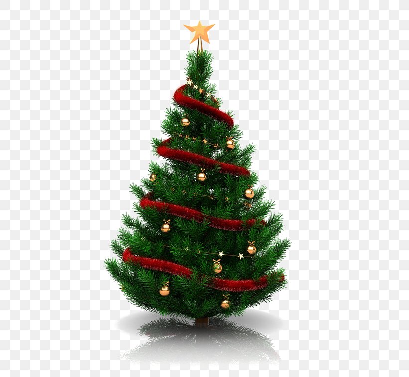 Christmas Tree Christmas Decoration Christmas Eve Christmas Ornament, PNG, 658x755px, Christmas Tree, Christmas, Christmas Decoration, Christmas Ornament, Conifer Download Free