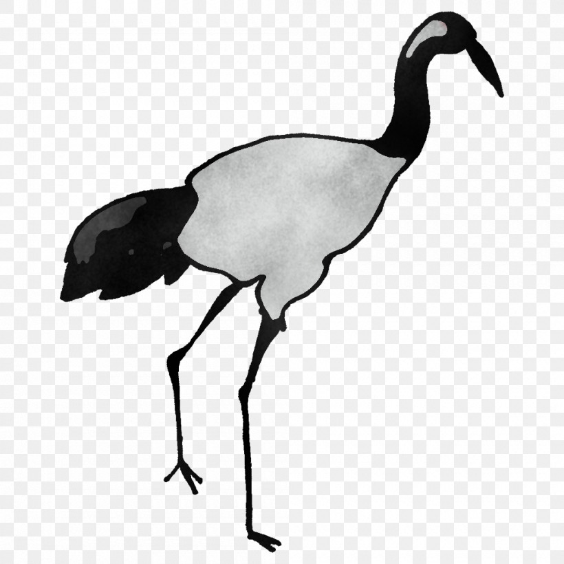 Crane Birds Blue Jay Ibis Owls, PNG, 1000x1000px, Crane, Barn Owl, Beak, Bird Of Prey, Birds Download Free