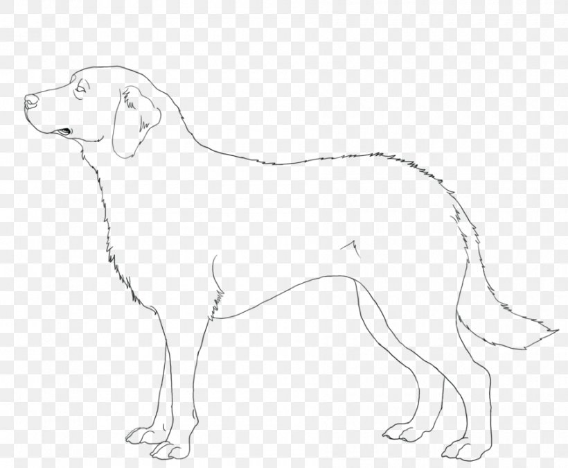 Dog Breed Companion Dog Retriever Line Art, PNG, 900x741px, Dog Breed, Animal, Animal Figure, Artwork, Black And White Download Free