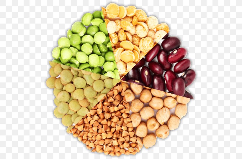 Peanut Vegetarian Cuisine Food Bean, PNG, 526x540px, Peanut, Bean, Commodity, Food, Fruit Download Free