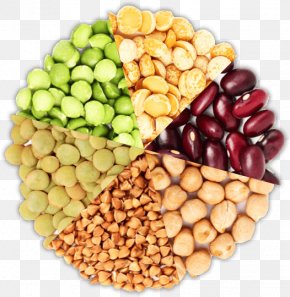 Sprouts Cannellini Beans - Peanut Vegetarian Cuisine Food Bean PNG