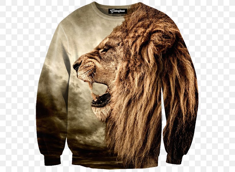 T-shirt Hoodie Clothing Sweater, PNG, 600x600px, Tshirt, Big Cats, Bluza, Carnivoran, Casual Download Free