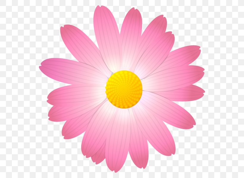 Vector Graphics Stock Illustration Drawing Royalty-free, PNG, 600x600px, Drawing, Chrysanths, Daisy, Daisy Family, Flower Download Free